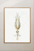 light wood framed vintage squid print wall art